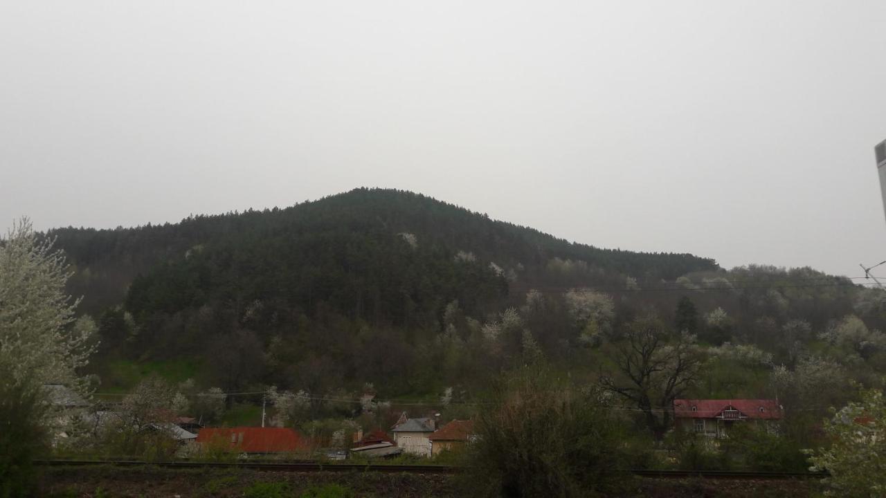 Appartamento Garsoniera George Tîrgu Ocna Esterno foto